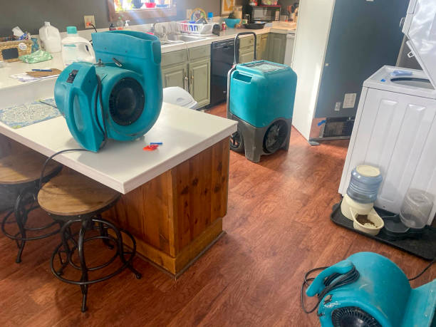 Best Emergency water damage restoration  in Stewart Manor, NY