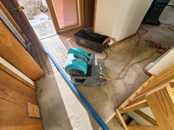 Best Flood damage cleanup  in Stewart Manor, NY