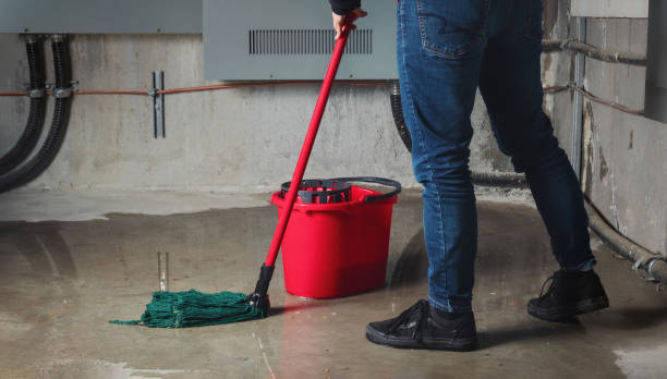 Best Basement water damage restoration  in Stewart Manor, NY
