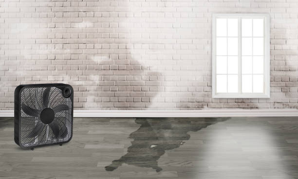 Best Commercial water damage restoration  in Stewart Manor, NY