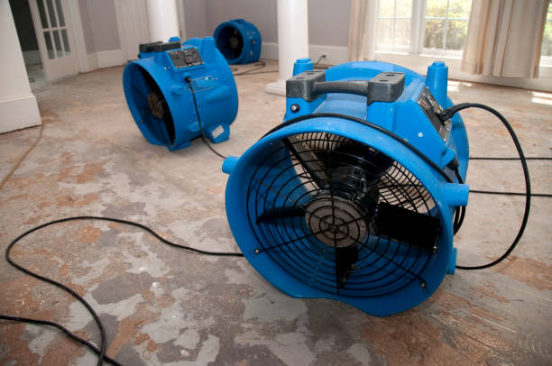 Best Ceiling water damage repair  in Stewart Manor, NY