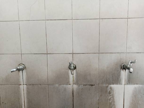 Best Water damage contractors near me  in Stewart Manor, NY