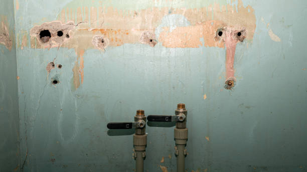 Best 24/7 water damage repair  in Stewart Manor, NY