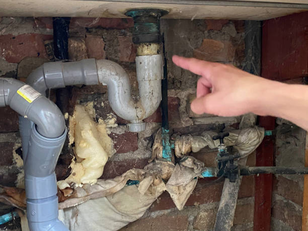 Best Sewage cleanup and water damage restoration  in Stewart Manor, NY