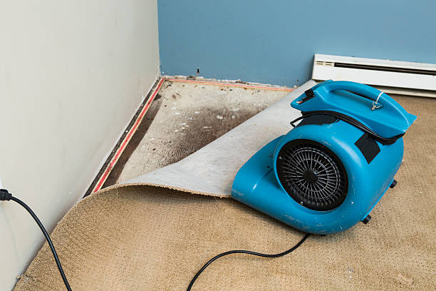 Best Emergency water damage restoration  in Stewart Manor, NY